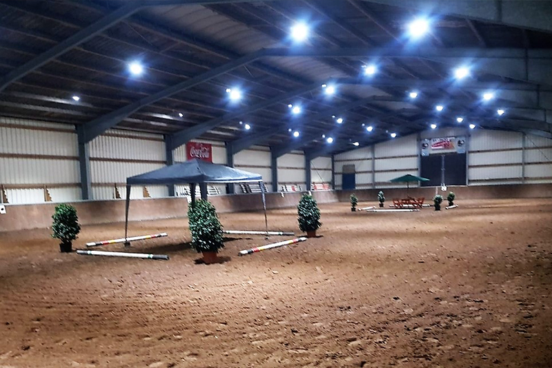 martina schuemers stall struckmann04